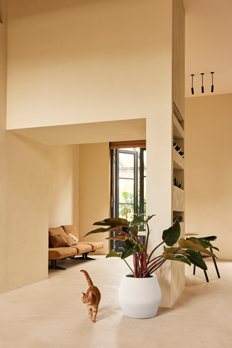 june split low 46cm leinenweiß